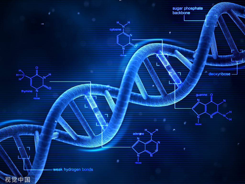 預防出生缺陷 科學健康孕育| 低深度全基因組測序（CNV-seq）可(kě)作爲一線産前診斷技術(shù)