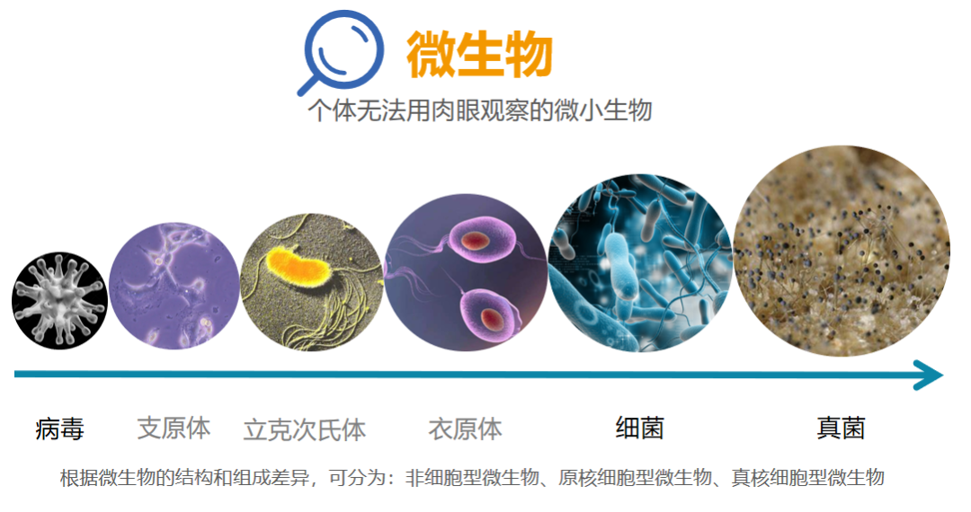 感染性疾病——爲何可(kě)以穩居世界第二大(dà)疾病死因？